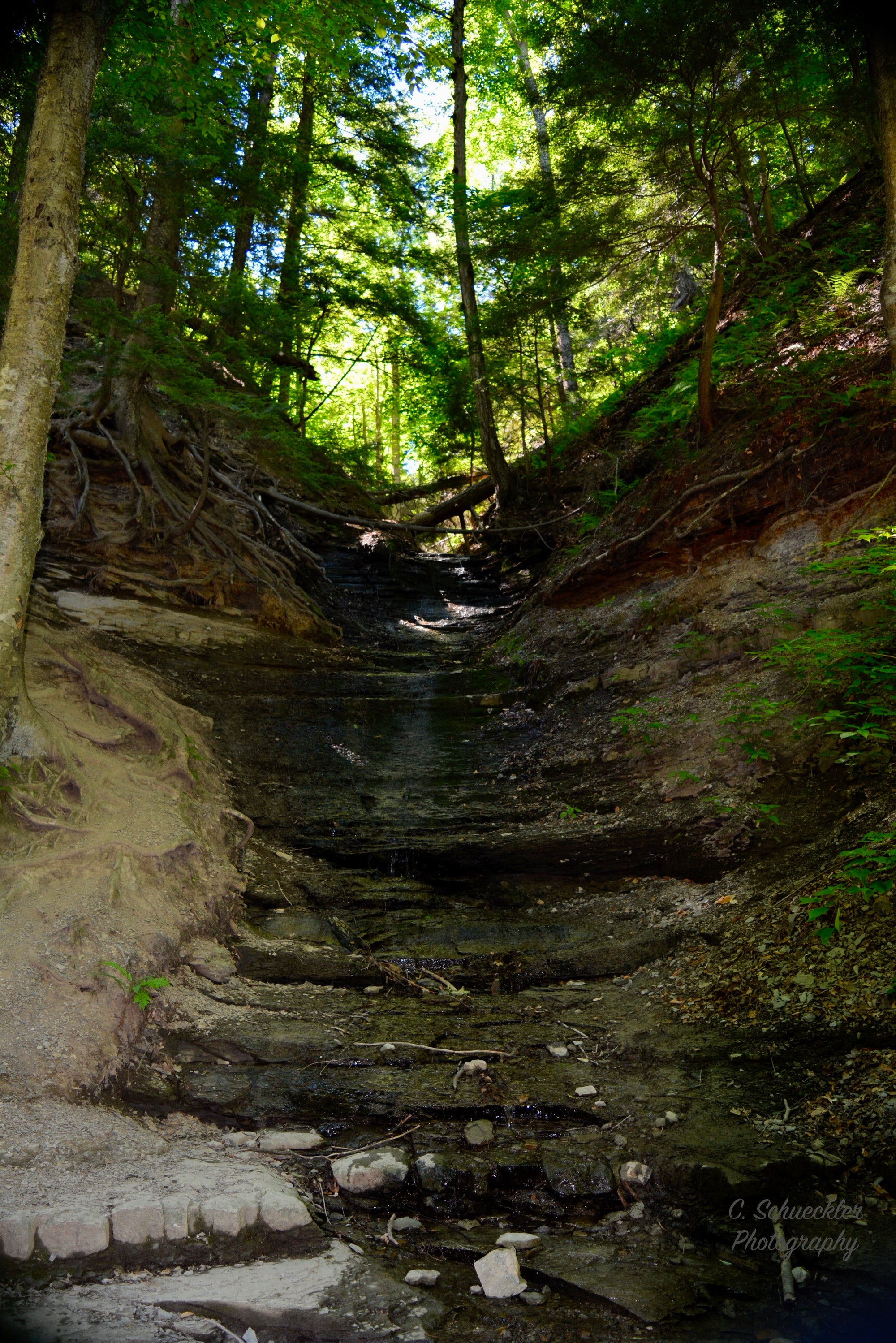 Mother Nature - Chestnut Ridge Park - Steps