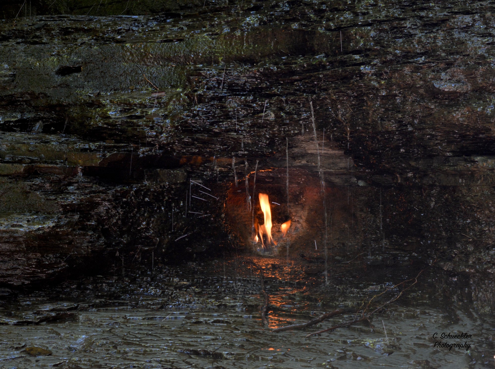 Mother Nature - Chestnut Ridge Park - Eternal Flame