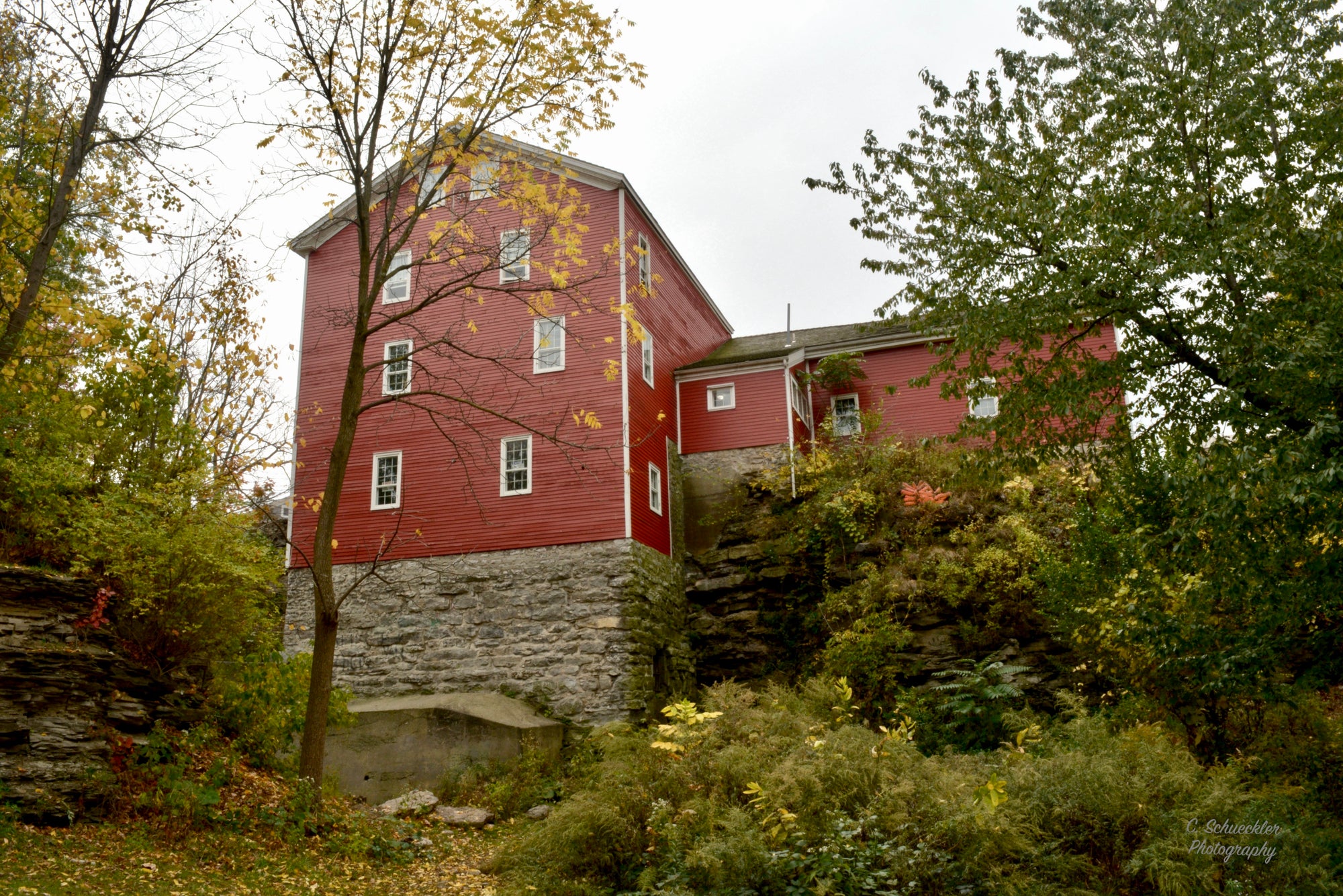 Williamsville - Water Mill - Back