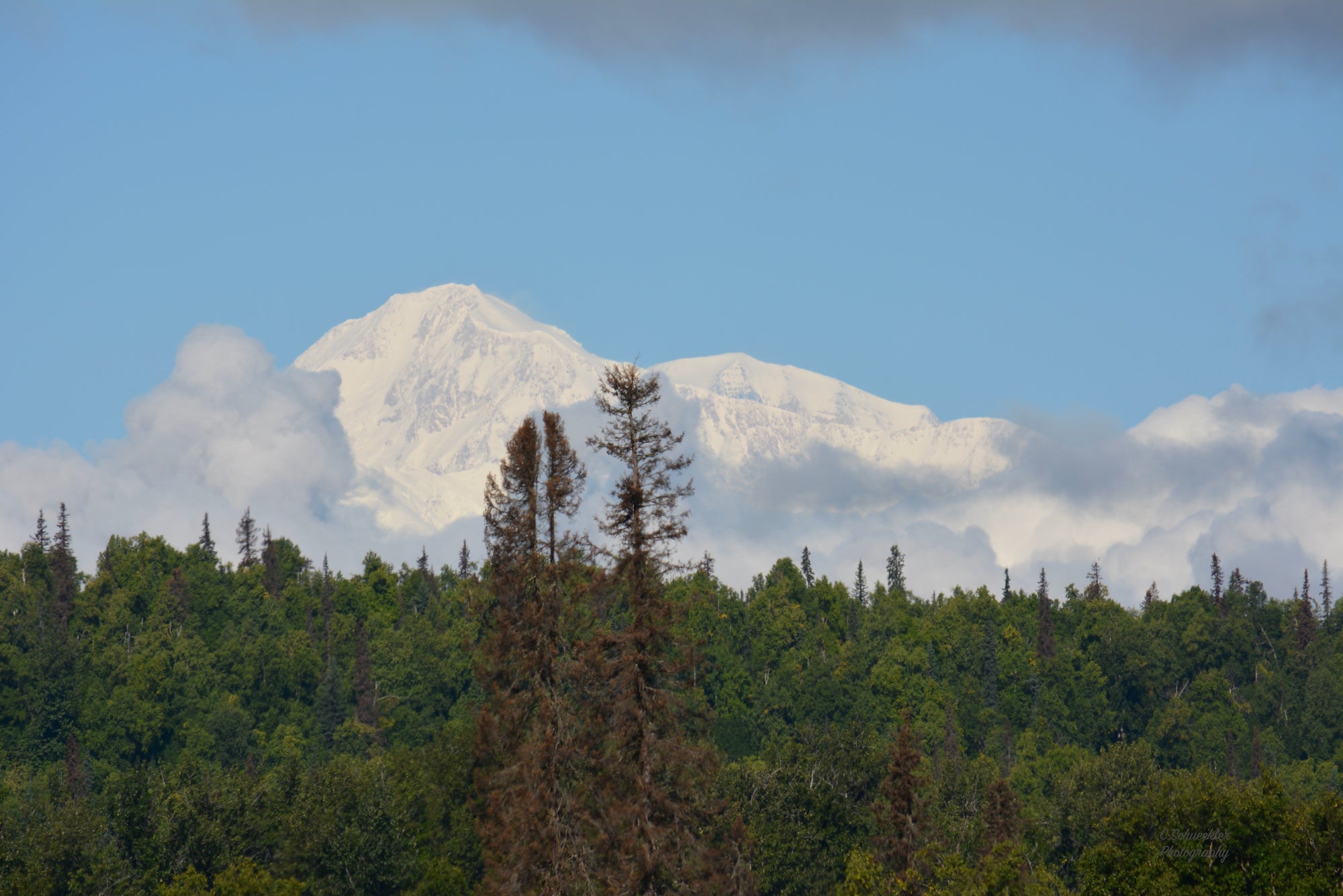 Alaska - Mt. Denali