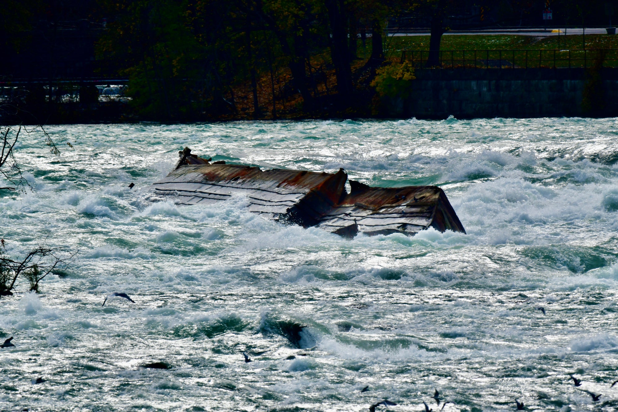 Niagara Falls - Niagara River Barge #1