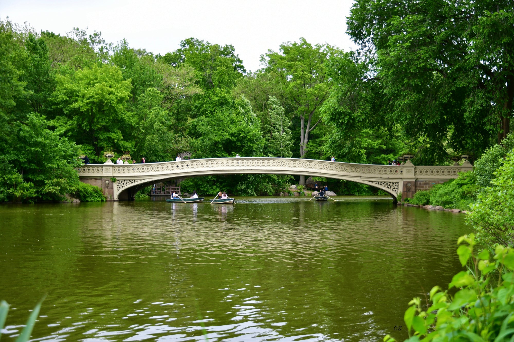 The Big Apple - Rose Bridge