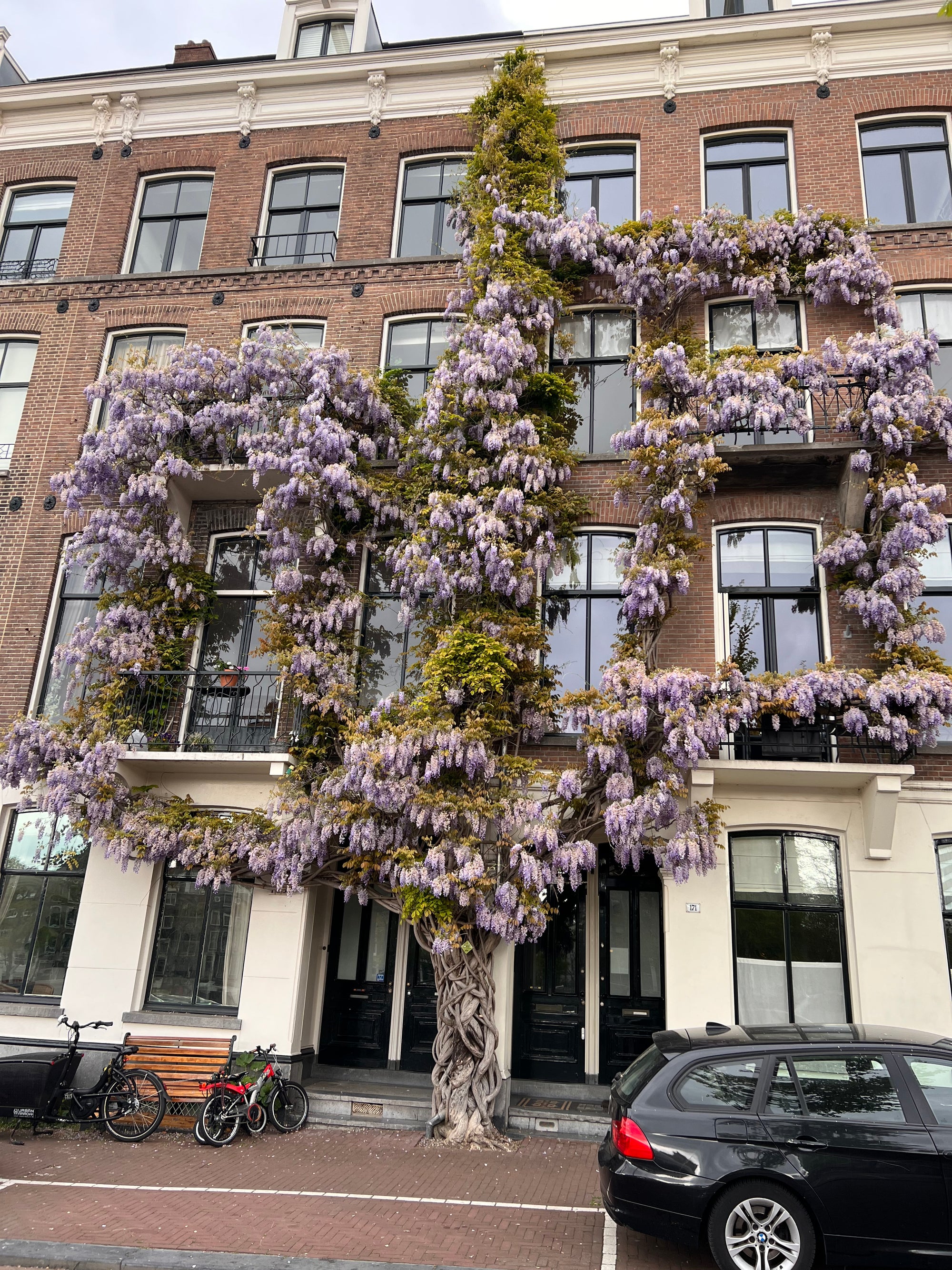 NL - Flowers on House, Amsterdam